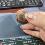 心得圖片