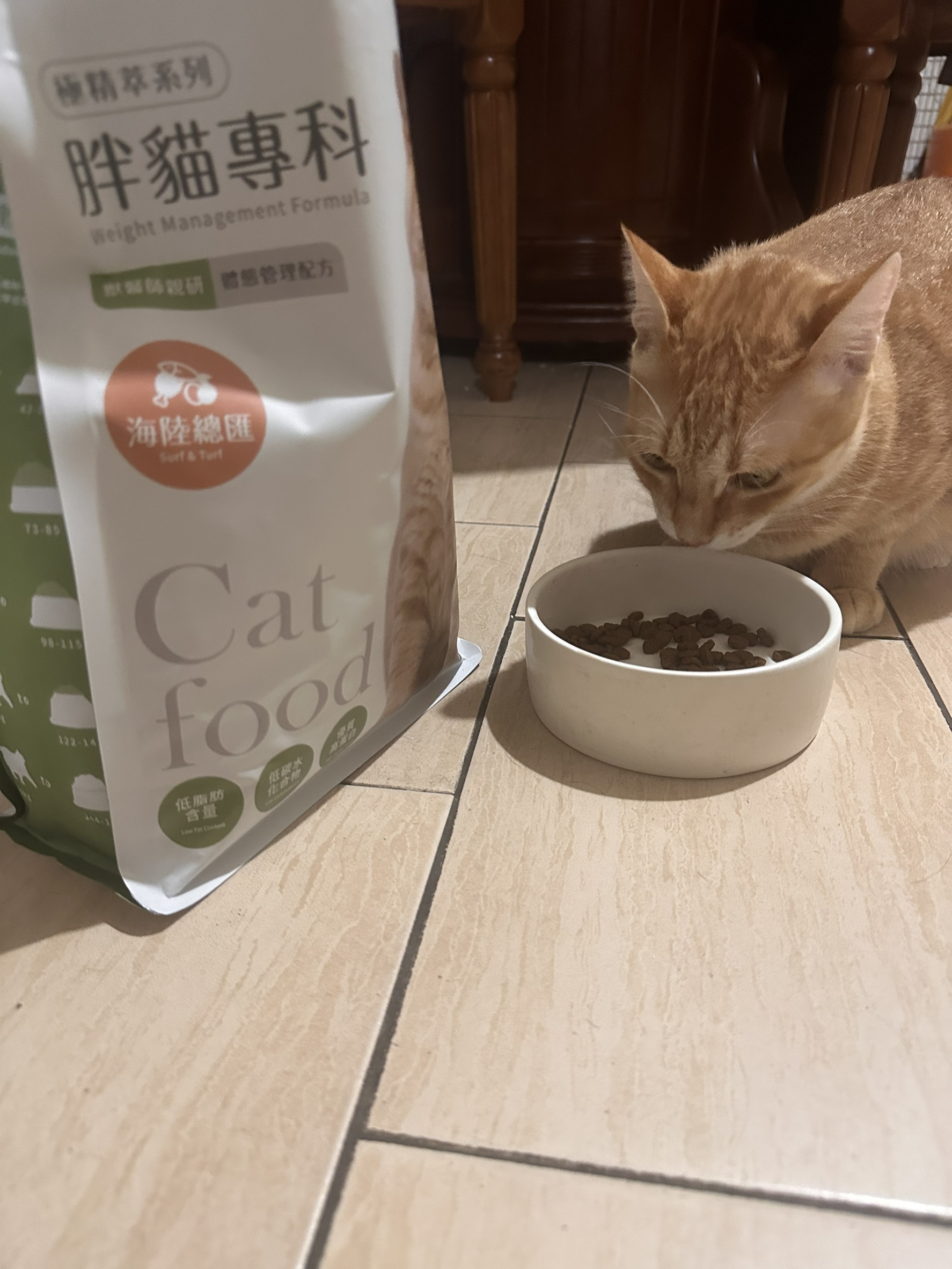 心得圖片
