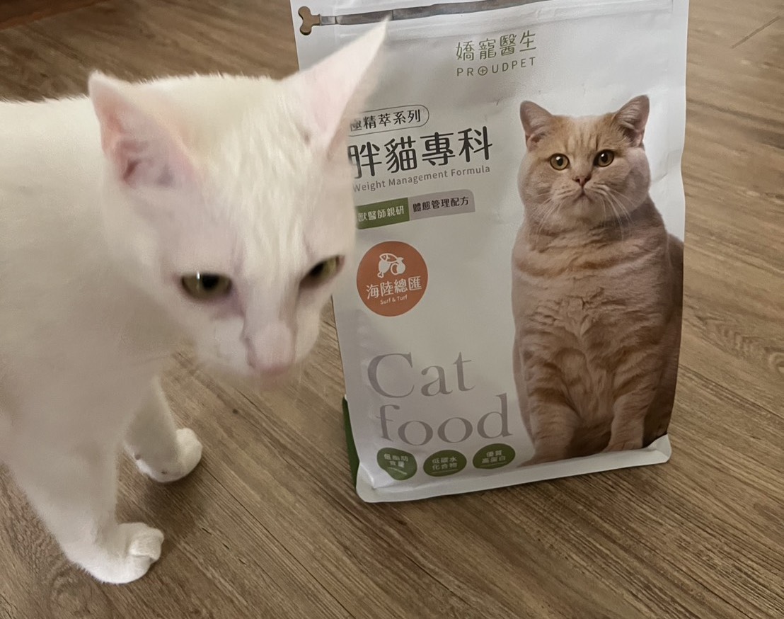 心得圖片